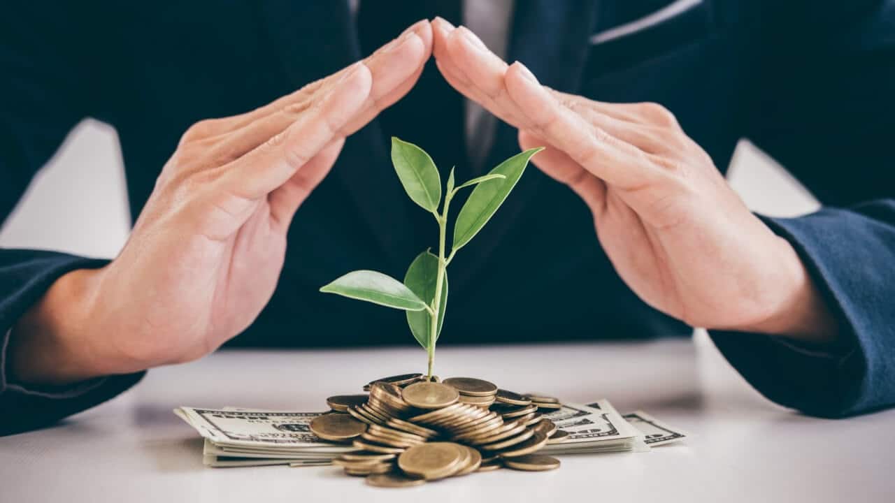 os-segredos-que-os-investidores-nao-contam