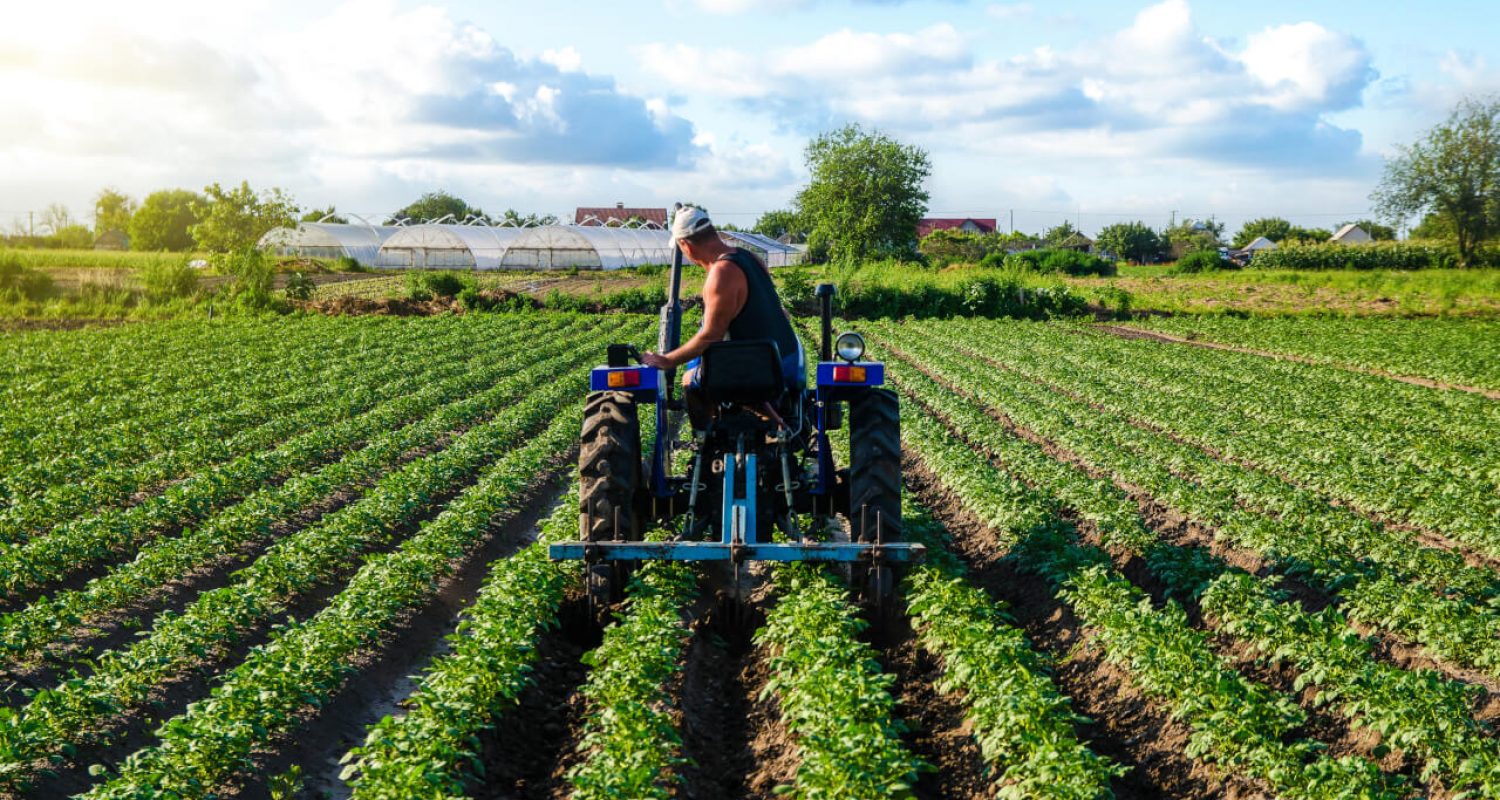 contabilidade_para_agronegocio
